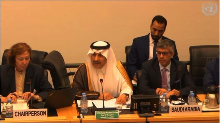 Die Betrachtung von Saudi Arabien (OPSC-OPAC) beim 79. Komitee der Rechte des Kindes