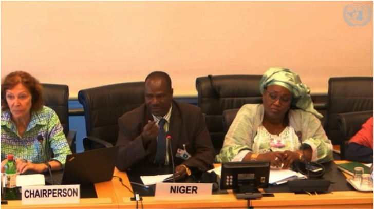 Kinderrechtskomitee: Niger und Benin