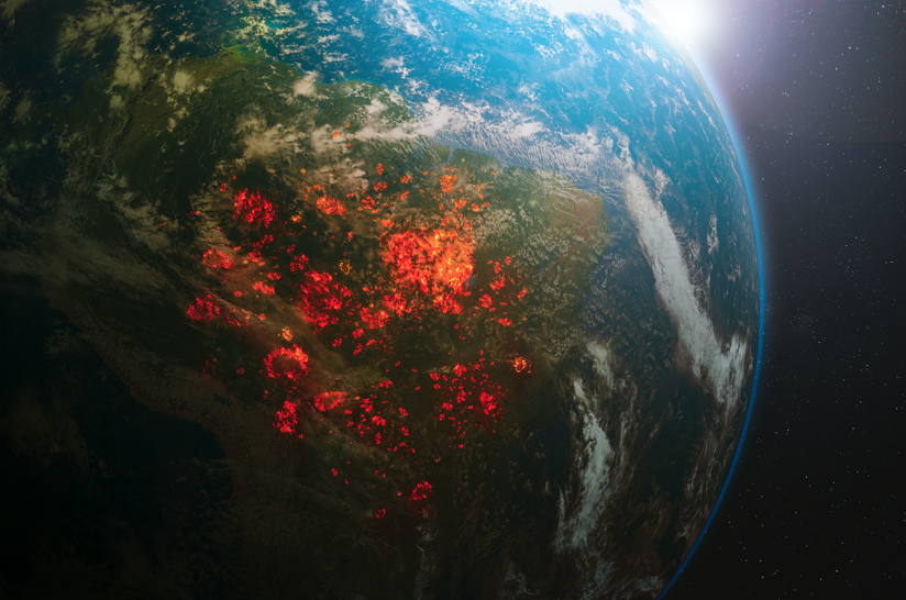 Picture 1