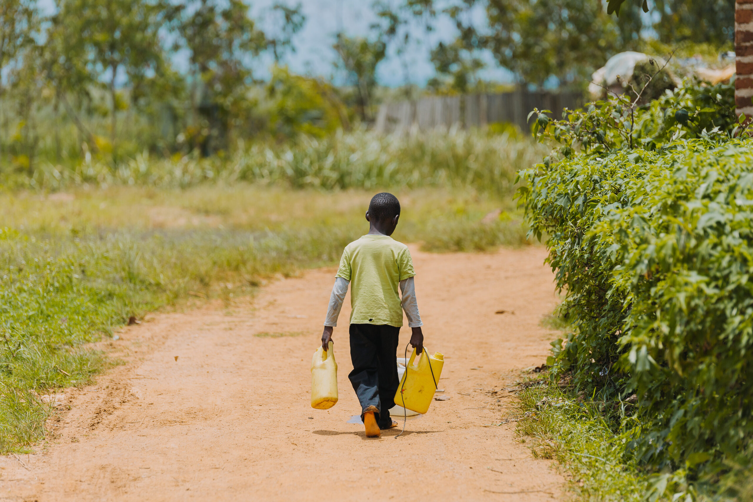 Globaler Anstieg von Kinderarbeit – eine anhaltende Bedrohung der Kinderrechte