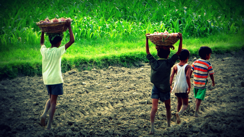 Kinderarbeit in Indien